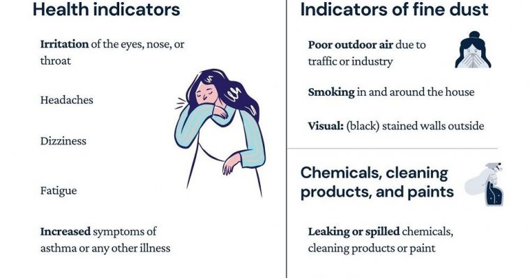Infographic How to check the air quality in your home