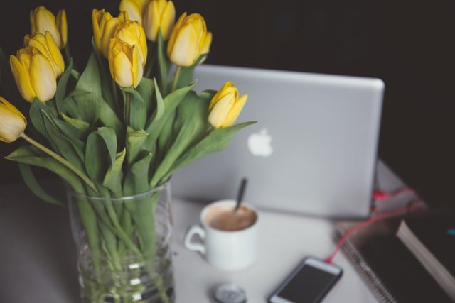Tulips to brighten up your workspace.