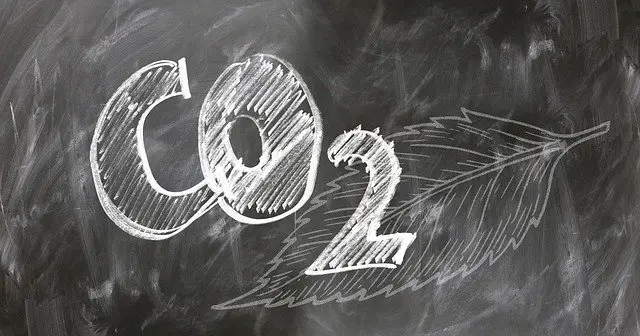 The word CO2 and a leaf, drawn on a chalkboard