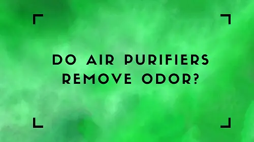 Do air purifiers remove odor?