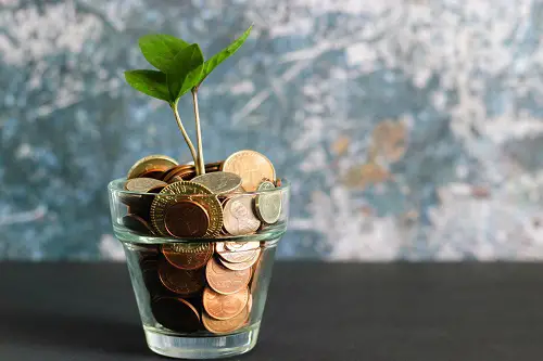 Plant growing in a jar full of coins