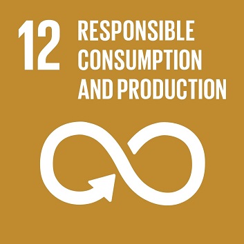 Sustainable development goal 12: reponsible consumption and production.